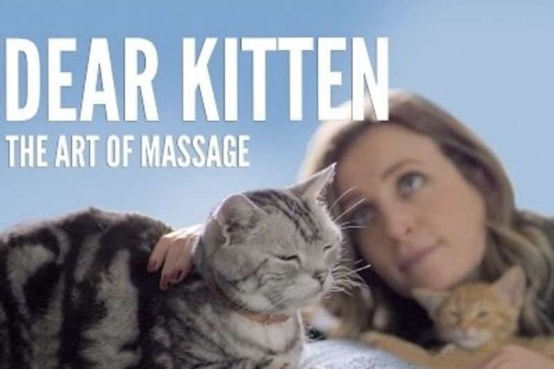 Video: Dear Kitten: The Art Of Massage 1