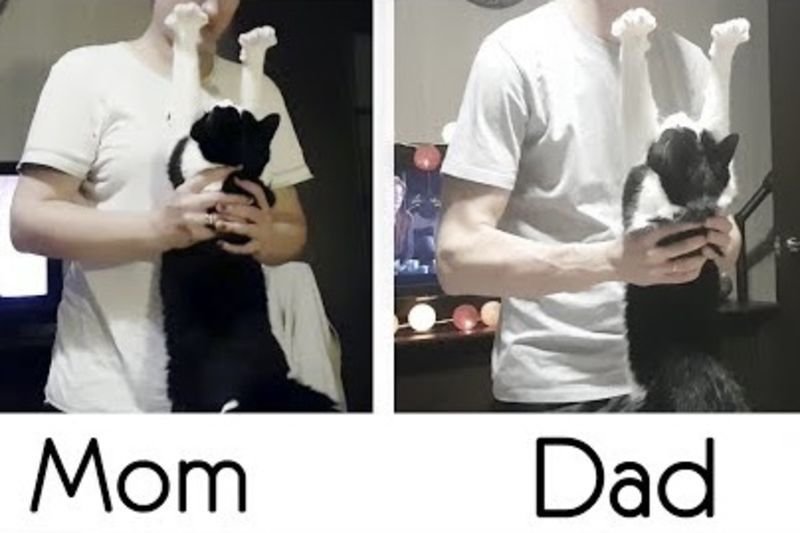Video: A Cat's Love For Mom Vs. Dad - The Differences! 1