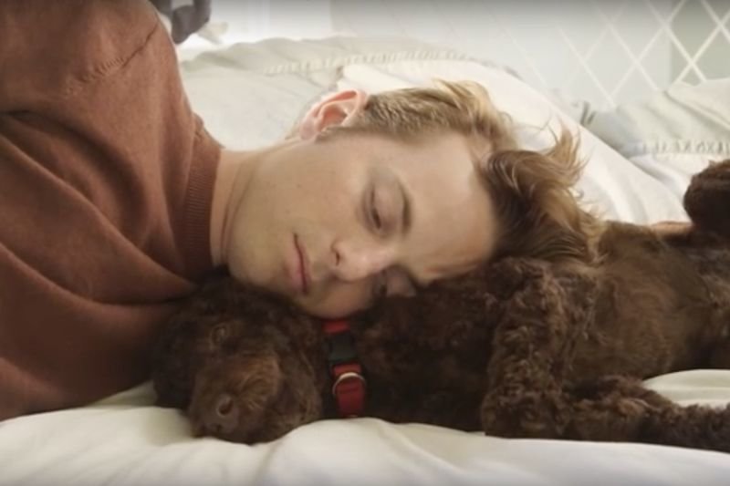 Video: Kinda Weird Conversations You Have With Your Dog 1