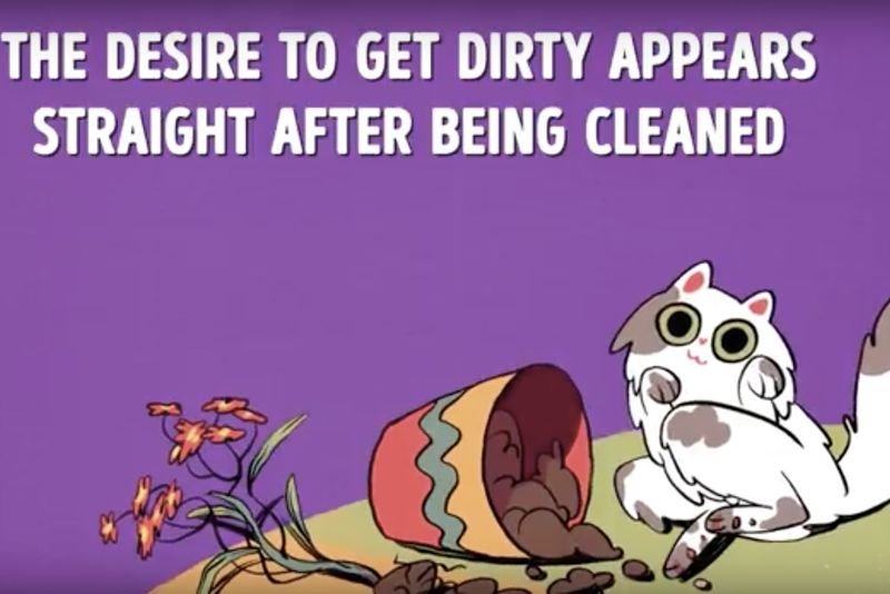 Video: Your Life With A Cat 1