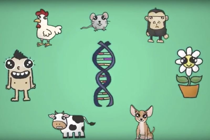 Video: We're All A Lot More Similar Than You Think... 1