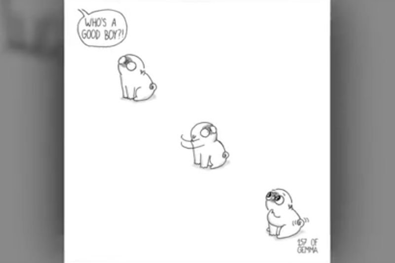Video: Adorable And Hilarious Comics Summing Up Life With A Dog! 1