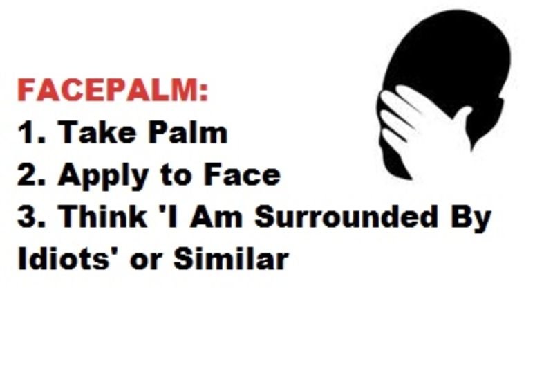 Facepalm Moments 1