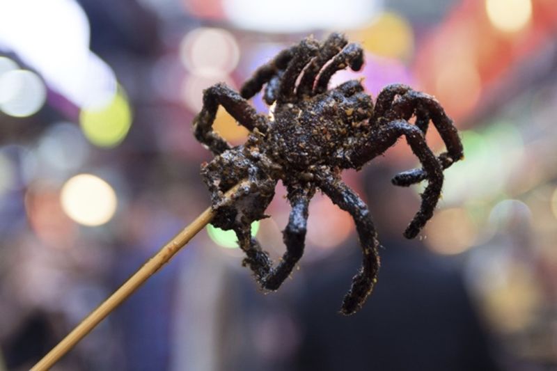 Enjoy A Delicious Tarantula Dinner In Thailand 1