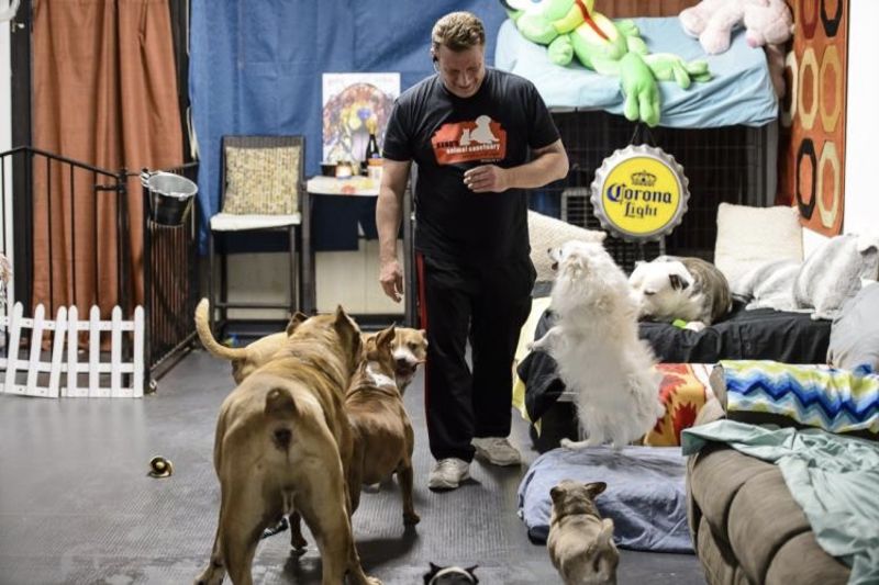 Video: From Mafia To Animaltarian – The Dogfather's Sanctuary Of Any Animal's Dreams! 1