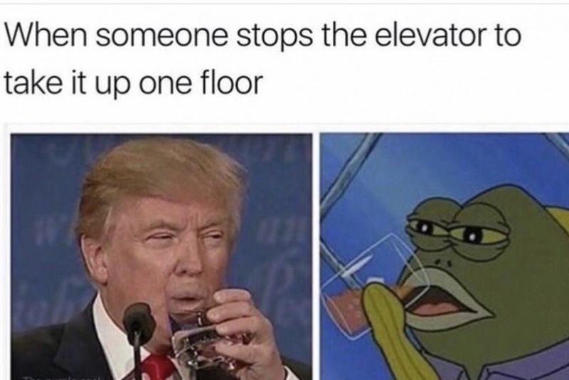 Video: Memes That Are So Relatable, They're Basically You 1