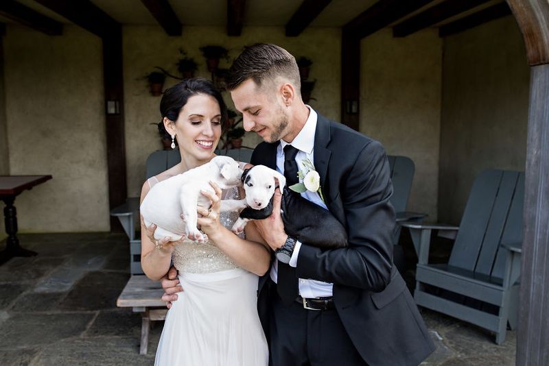 Video: Scrap The Flowers! Take The Puppies! 1