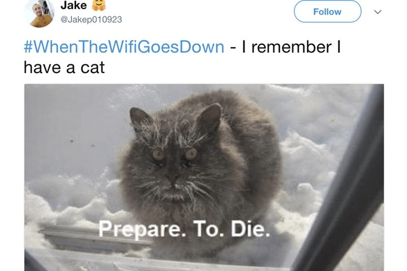 Video: Despair And Darkness Takes Over When The Internet Is Down 1