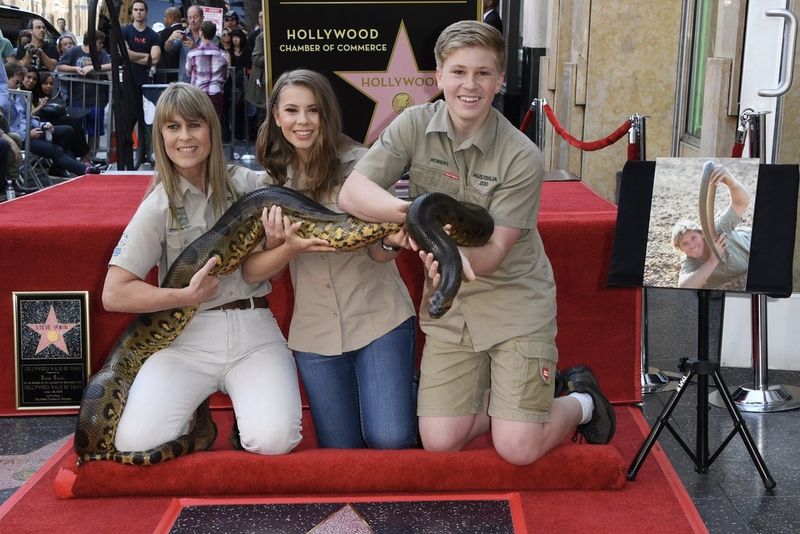 Video: Steve Irwin Will Live On The Hollywood Walk Of Fame 1
