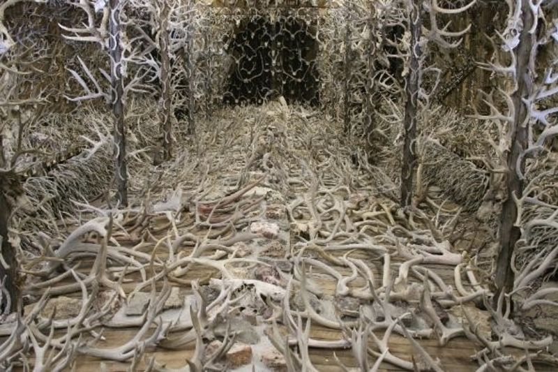 The Largest Collections On Earth 1