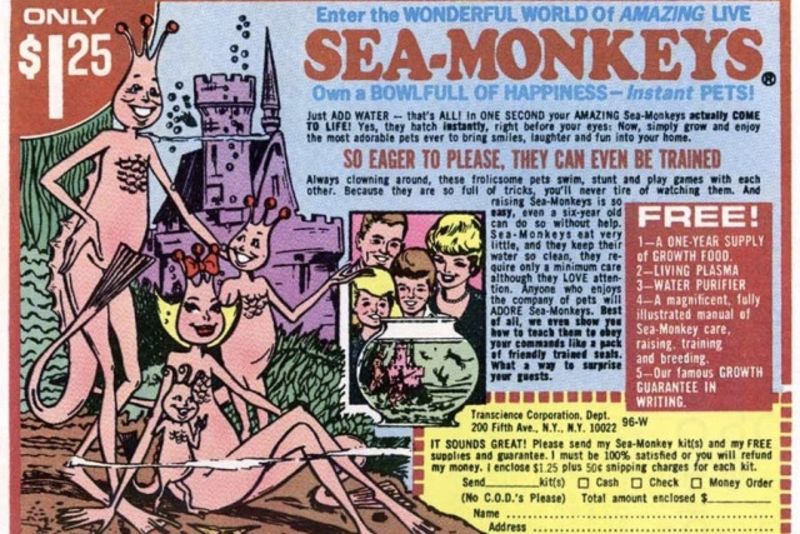The Dark Past of The 'Sea Monkey' Founder 1