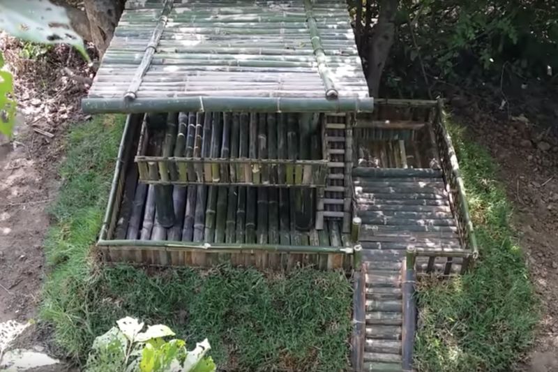 Puppy Mansion Build Out Of Bamboo | tine tv 1