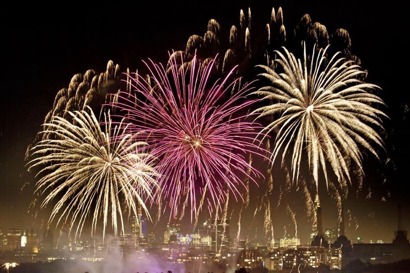 Celebrating Guy Fawkes And Keeping Your Animals Safe 1