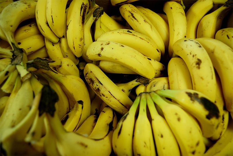 Is This The End Of The Banana? 1