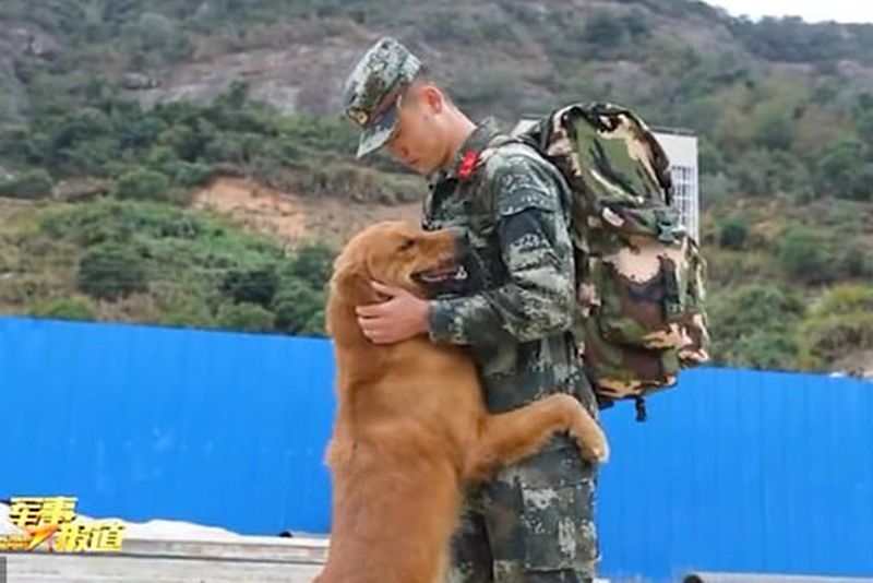 Military Dog Refuses To Let His Retiring Handler Leave 1