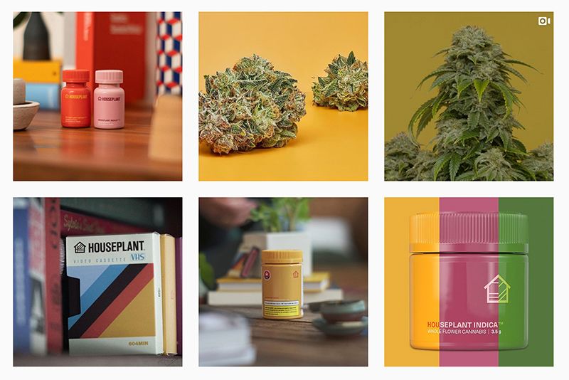 Seth Rogen Rolls Out Cannabis Company In United States 1