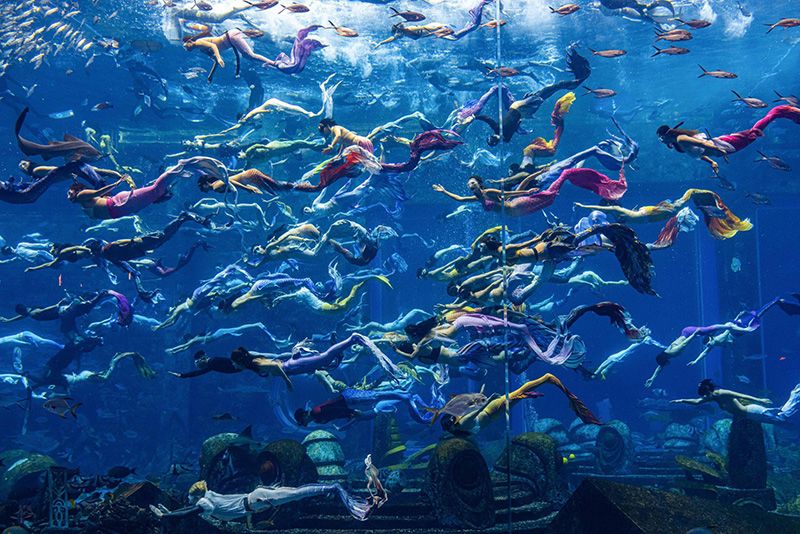 New World Record For Largest Underwater Mermaid Show 1