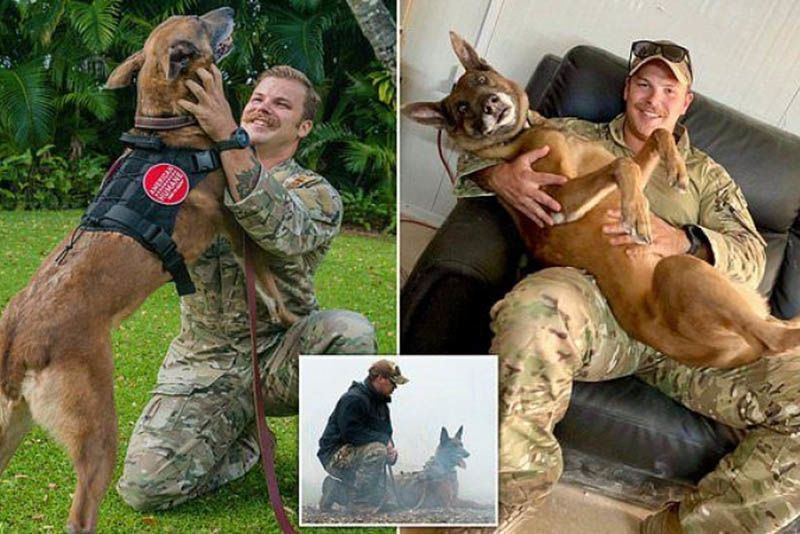Cute Moment Air Force Dog Reunites With His Handler After A Year Of Separation 1