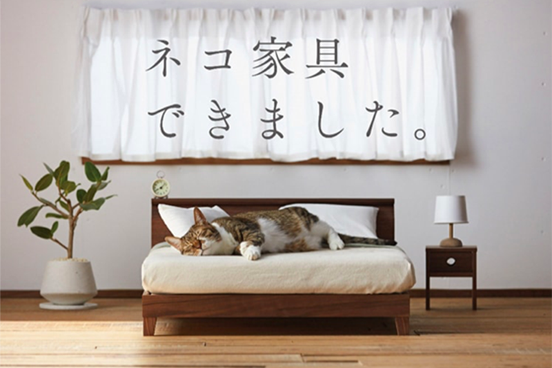 Japan Introduces Miniature Furniture For Cats 1
