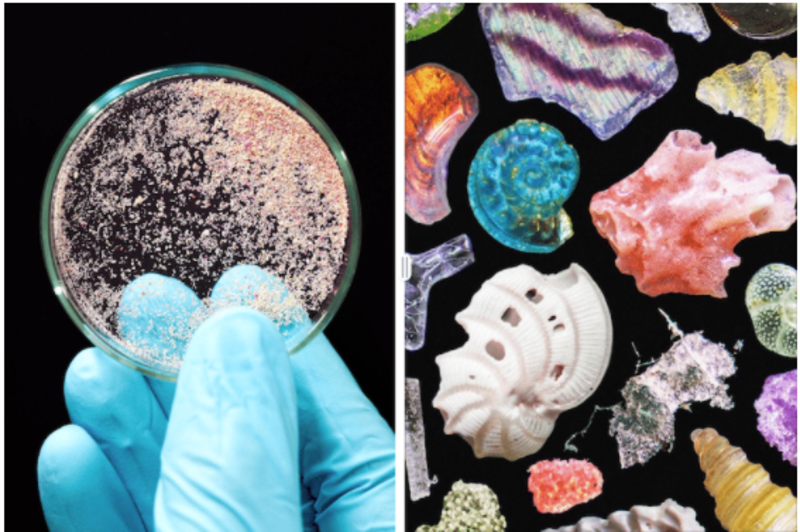 Photographer Reveals The Amazing Colours Of  Beach Sand Under a Microscope 1