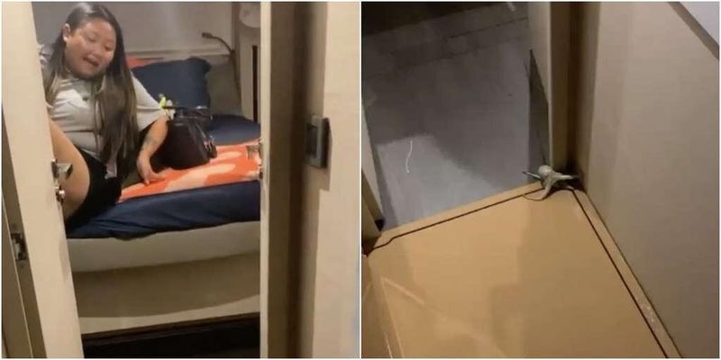 Curious 8-Legged Passenger Sneaks Onto Boat For Free Cruise 1