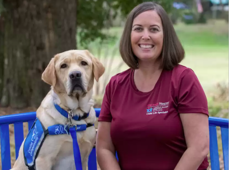 Dog Knows 40 Different Commands And Live Out His Days Working At Children's Hospital 1