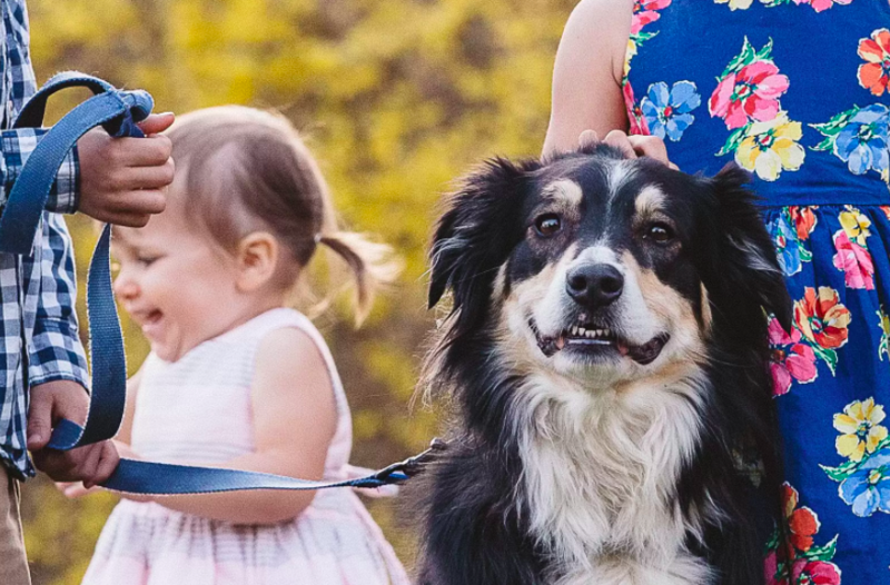 Dog Is Most Behaved Kid During Family Photoshoot 1
