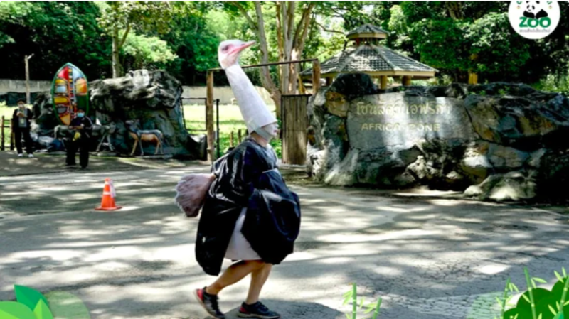 Thailand Zoo Employee Dressed As An Ostrich Roams Around Until Being Caught 1