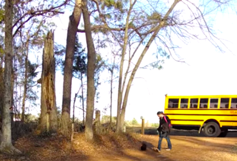 Rooster Runs To Greet Favourite Human Every Day She Gets Home From School 1