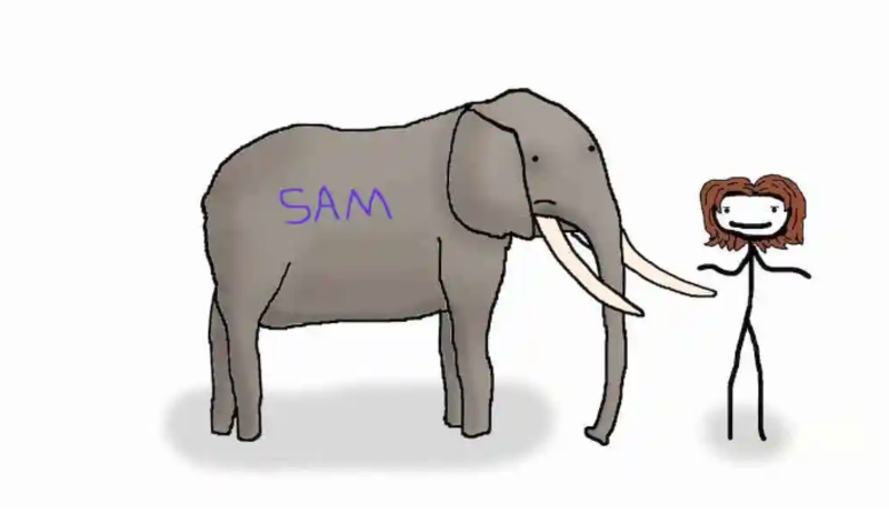 Random Way Animals Get Their Scientific Names 1