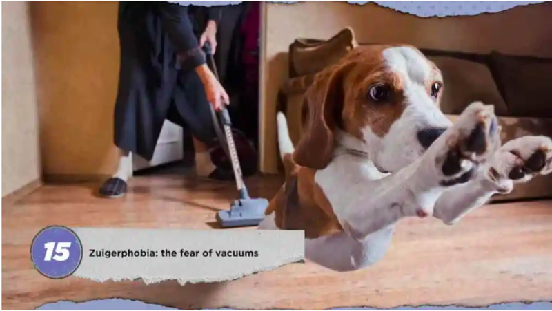 A Fascinating List of Common and Less Known Phobias 1