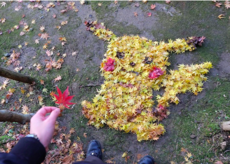Japanese Art Teacher Creatively Creates Pop Culture Illustrations With Fallen Leaves 1