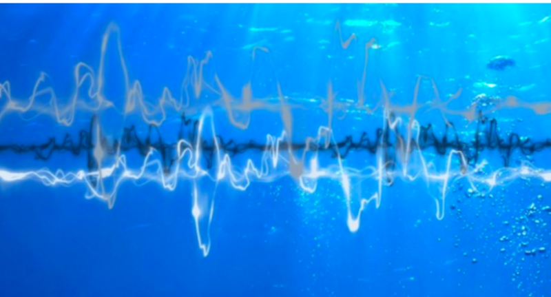 Loudest Sound Captured Under The Ocean 1