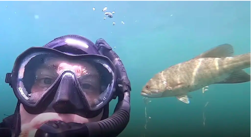 Diver Calls Fish With Unique Underwater Sound 1
