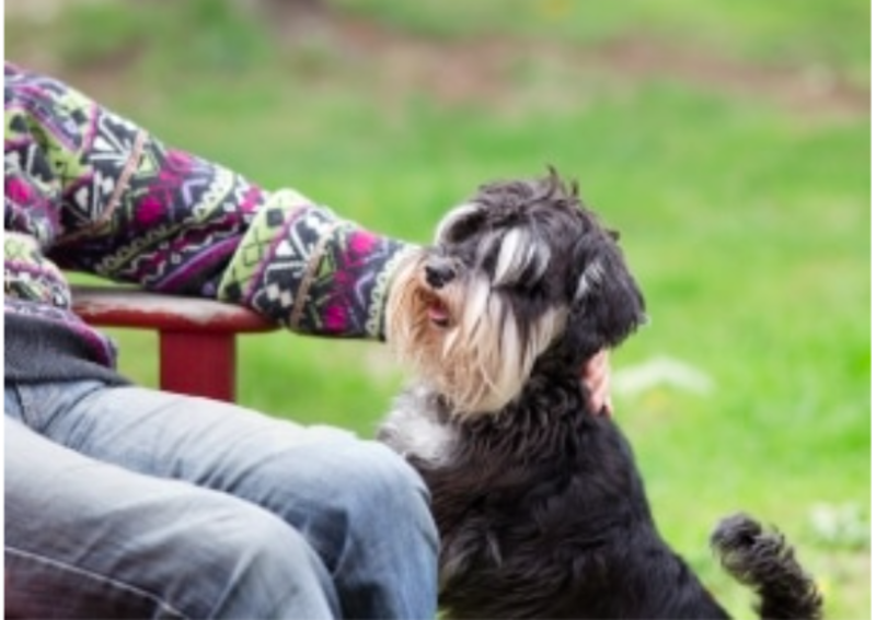 Elderly Man Writes Sweet Note To Neighbours After Pet Sitting For Them 1