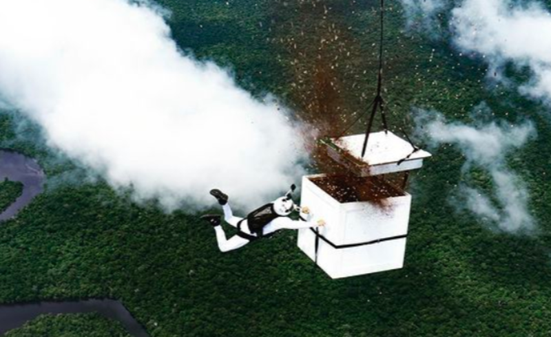 Hundred Million Native Plant Seeds Released In The Brazilian Amazon 1