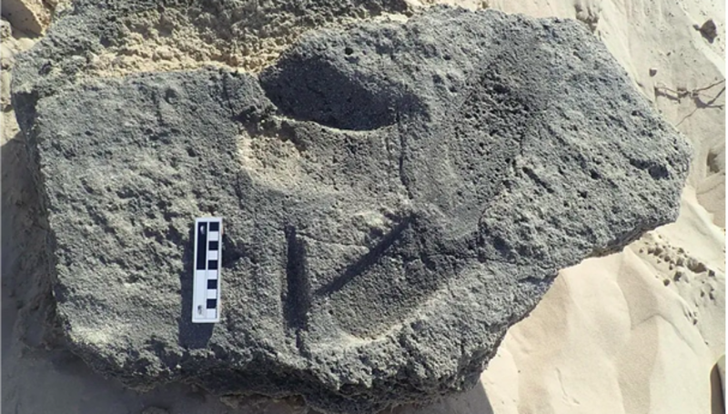 Fossilised Footprint Provides Proof Of Earliest Shoe 1