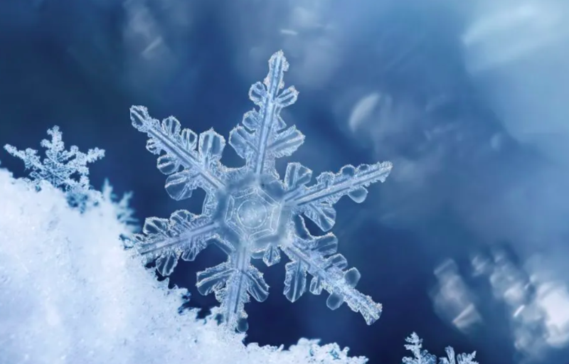 The Largest Snowflake Found Is Bigger Than You Might Thinks 1
