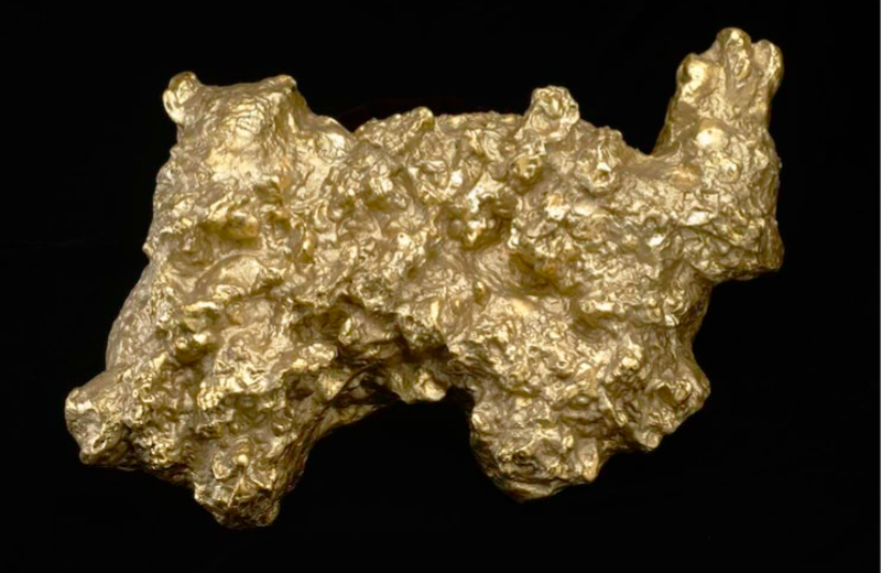 Largest Golden Nugget Weights Almost More Than a Man 1