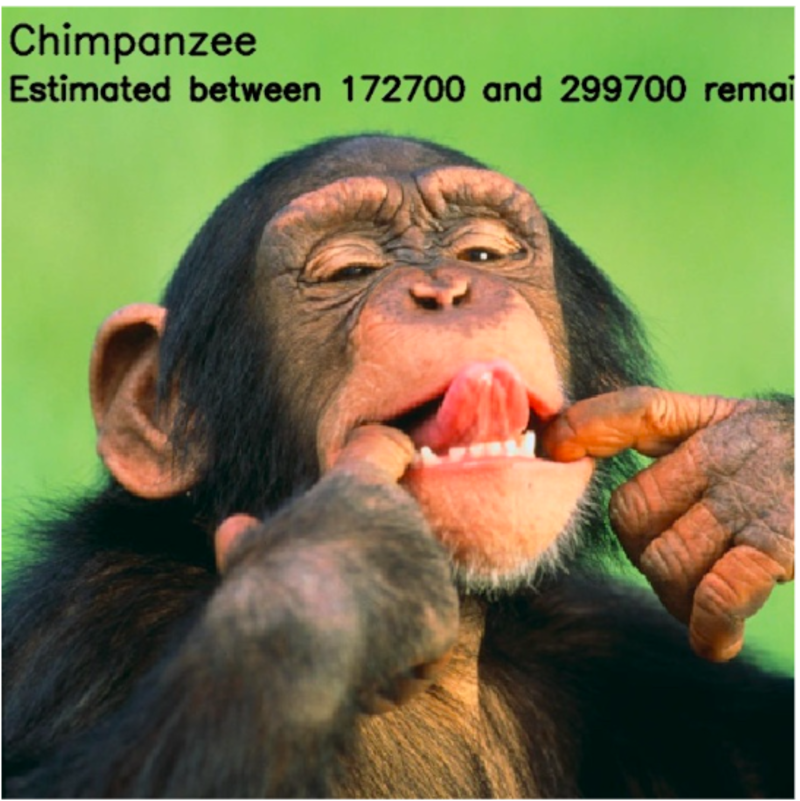 Population Of Different Species Illustrated By The Amount Of Pixels 1