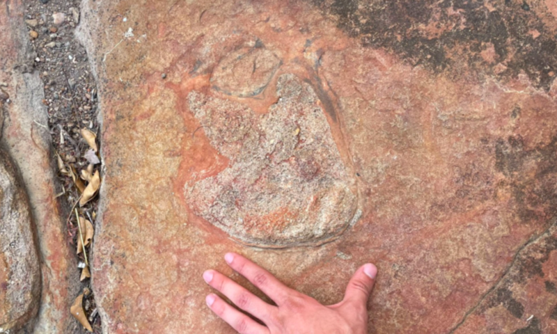 Ancient Carvings Proves Early Humans Knew About Dinosaurs 1