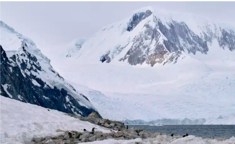 Antarctica Faces Extremely High Temperature Increase Due To Persistent Heat Wave 1