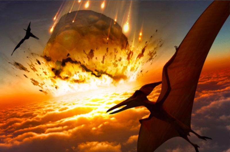 The Origins Of The Asteroid That Killed The Dinosaurs Finally Discovered 1
