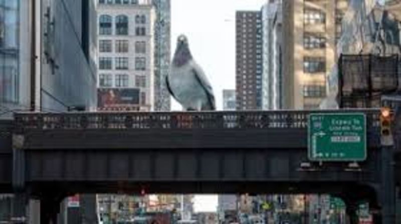 Giant Pigeon Sculpture Overlooks New York From The High Line 1