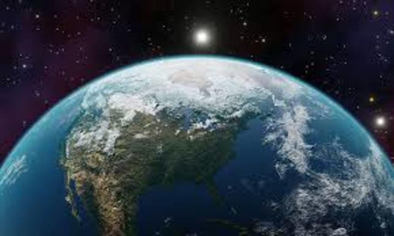 The Creature Most Likely To Rule Earth After Human Existence According To Scientists 1