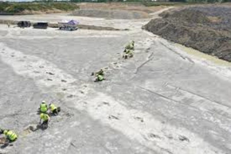 Massive Dinosaur Footprints Discovered In UK Quarry 1