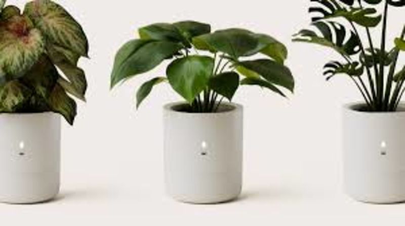 New Planter Uses AI To Take Care Of Your Plants With Smart Self Watering Systems 1