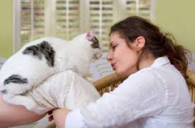 Study Shows Cats Are Aware When You Talk In Your Cat Voice 1
