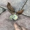 This Michigan 3d Artist Uses Chalk To Brighten People's Day! 10