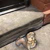 This Michigan 3d Artist Uses Chalk To Brighten People's Day! 5